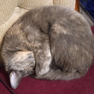 We believe in the power of Wildly Bold Mashups. Made from real fruit